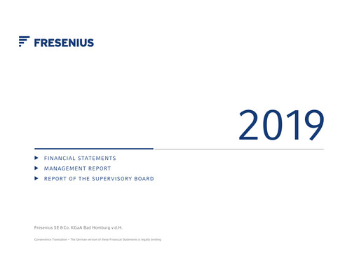 Thumbnail Fresenius Financial Statement 2019