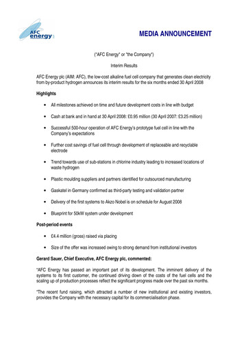 Vorschaubild AFC Energy Halbjahresbericht 2008-h1