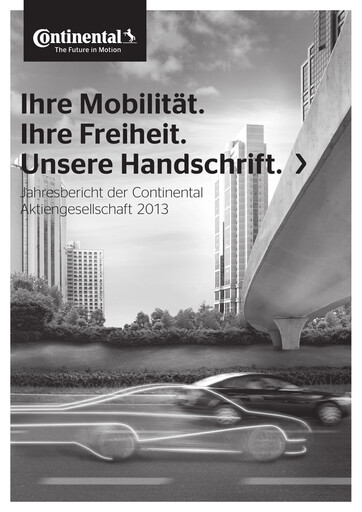 Thumbnail Continental Financial Statement 2013