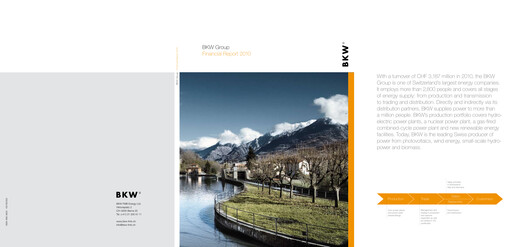 Miniature BKW AG  Bilan financier 2010
