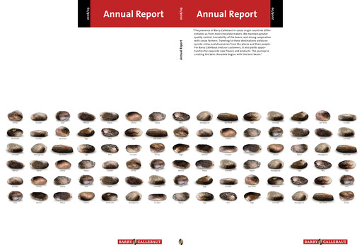 Thumbnail Barry Callebaut
 Annual Report 2008-2009