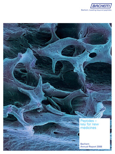 Thumbnail Bachem Annual Report 2006