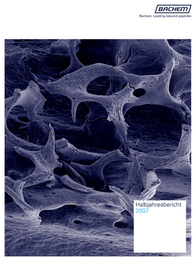 Vorschaubild Bachem Halbjahresbericht 2007-h1