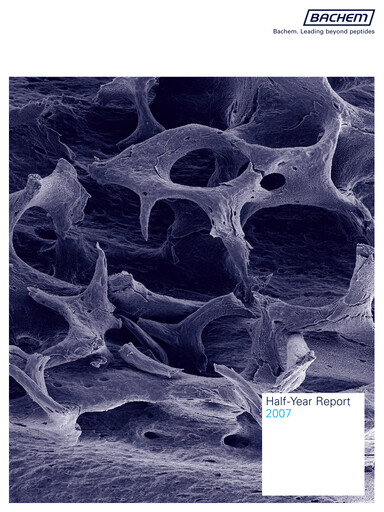 Vorschaubild Bachem Halbjahresbericht 2007-h1