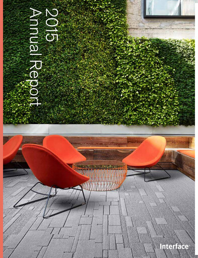 Thumbnail Interface, Inc. Annual Report 2015