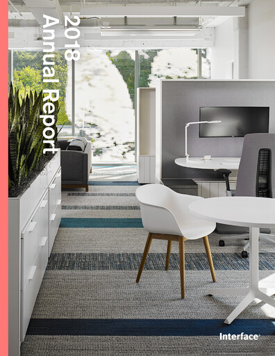 Thumbnail Interface, Inc. Annual Report 2018