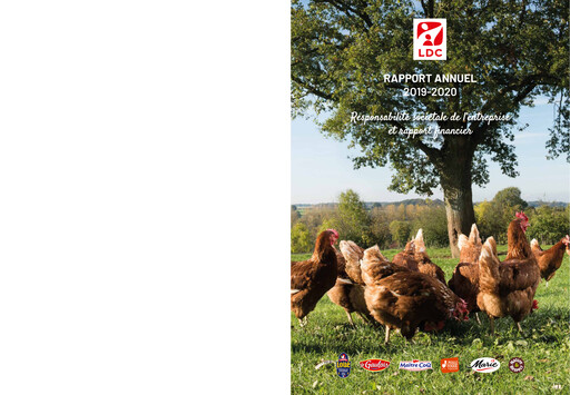 Thumbnail L.D.C. S.A. Annual Report 2019-2020