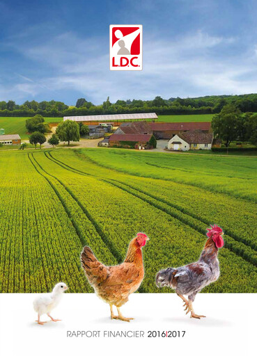 Thumbnail L.D.C. S.A. Financial Report 2016-2017