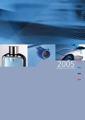 Thumbnail Lisi S.A. Financial Report 2005