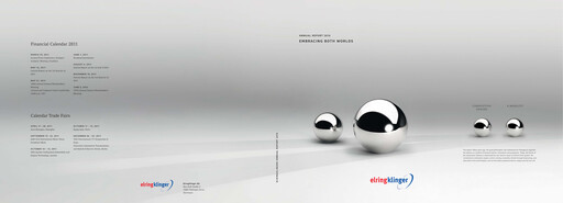 Miniature ElringKlinger Rapport annuel 2010