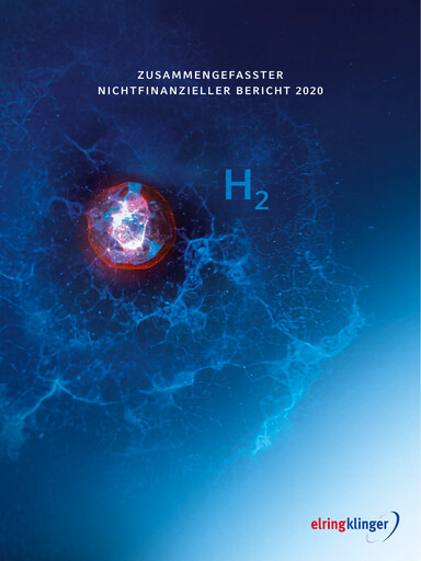 Thumbnail ElringKlinger ESG Report 2020