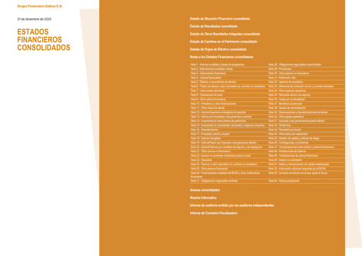 Thumbnail Galicia Financial Group Financial Statement 2025