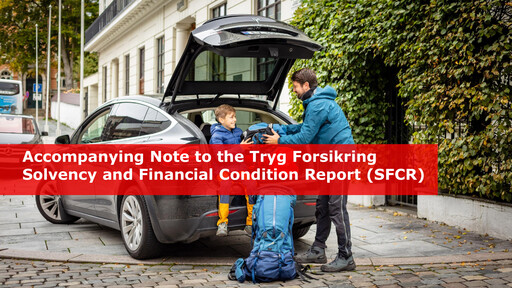 Miniature Tryg Rapport financier 2022