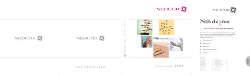 Thumbnail Nedbank Annual Report 2002