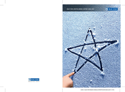 Thumbnail Blue Star
 Annual Report 2008-2009