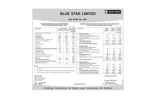 Thumbnail Blue Star
 Quarterly Report 2002-q1