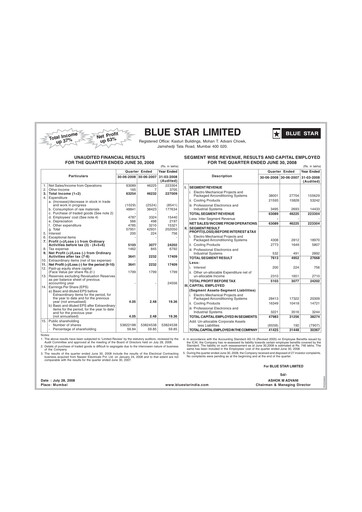 Thumbnail Blue Star
 Quarterly Report 2008-q1