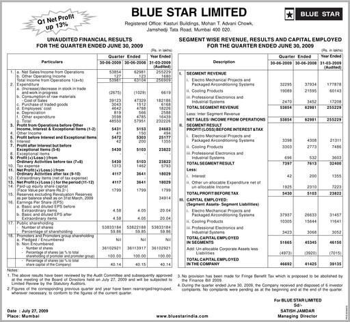 Thumbnail Blue Star
 Quarterly Report 2009-q1