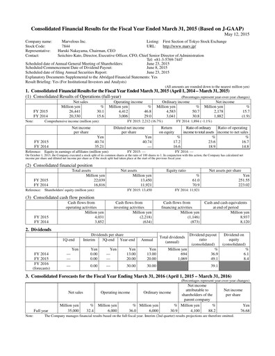 Thumbnail Marvelous Financial Report 2015