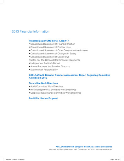 Thumbnail Aselsan Financial Statement 2013