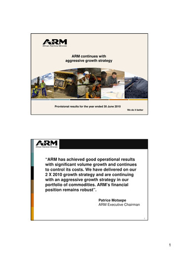 Miniature African Rainbow Minerals Rapport financier 2010