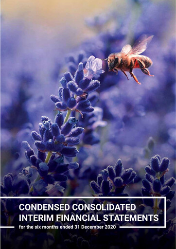 Thumbnail Momentum Metropolitan Financial Statement 2020-h1