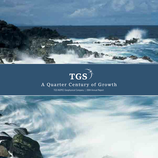 Miniature TGS ASA Rapport annuel 2004