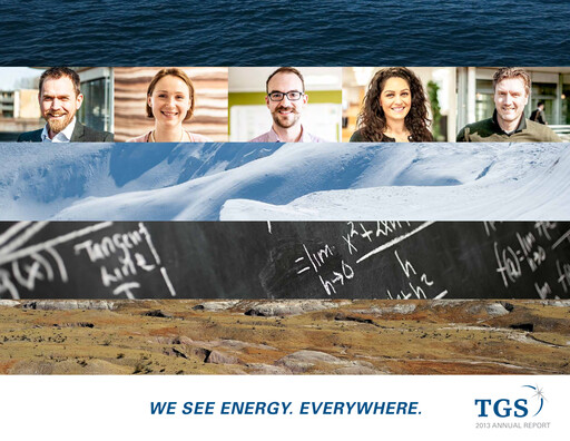 Miniature TGS ASA Rapport annuel 2013