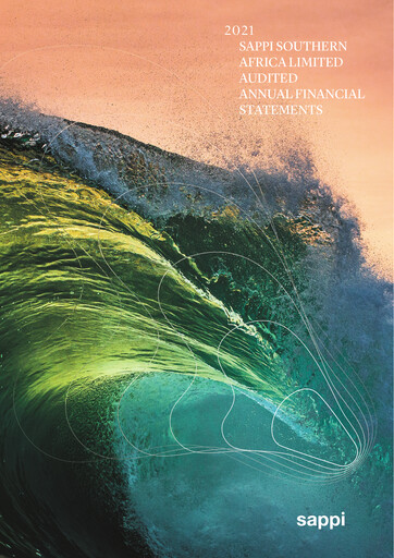 Thumbnail Sappi Financial Statement 2021