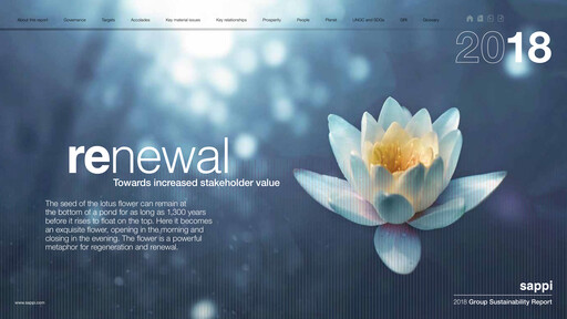 Thumbnail Sappi Sustainability Report 2018