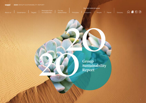 Thumbnail Sappi Sustainability Report 2020