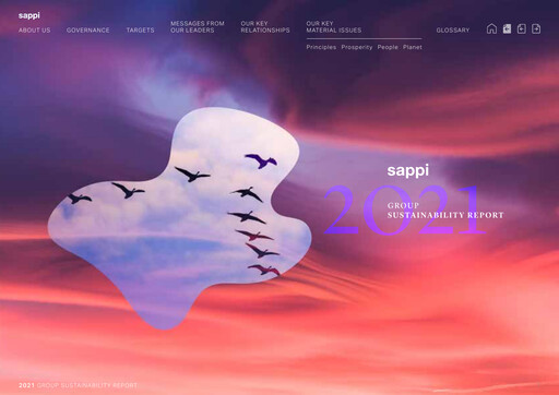 Thumbnail Sappi Sustainability Report 2021