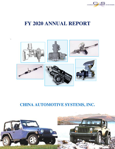 Miniature China Automotive Systems Rapport annuel 2020