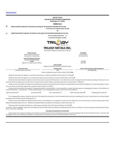 Miniature Trilogy Metals
 Rapport annuel fy2020
