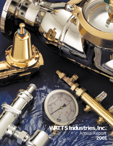 Thumbnail Watts Water Technologies
 Annual Report 2001