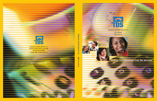 Vorschaubild Telephone and Data Systems
 Jahresbericht 2001