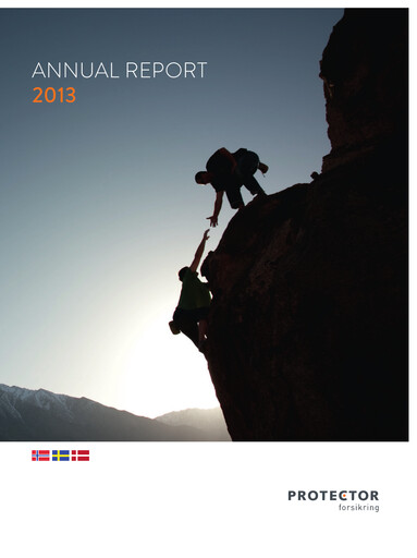 Thumbnail Protector Forsikring Annual Report 2013