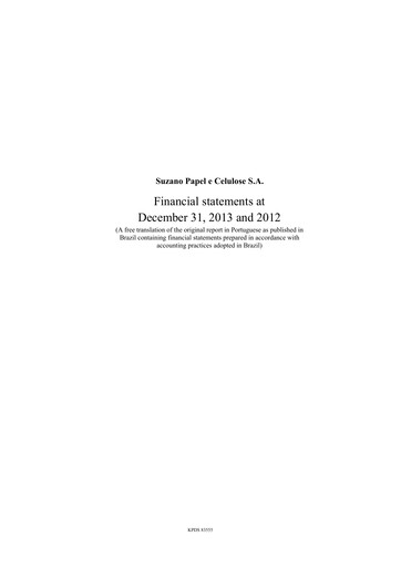 Thumbnail Suzano Financial Statement 2013