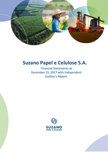 Thumbnail Suzano Financial Statement 2017