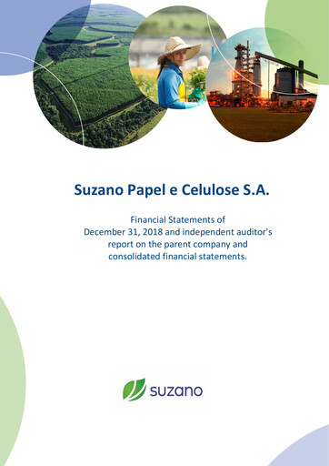 Thumbnail Suzano Financial Statement 2018