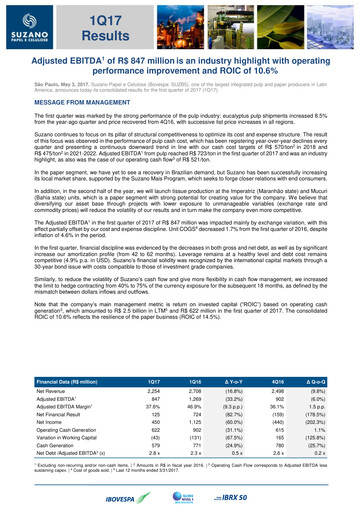 Miniature Suzano Rapport trimestriel 2017-q1