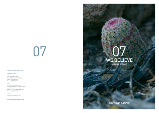 Thumbnail Southern Copper Annual Report 2007