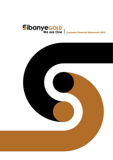 Thumbnail Sibanye-Stillwater
 Financial Statement 2013