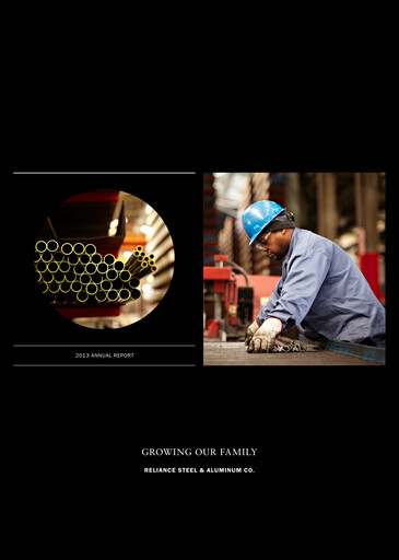Thumbnail Reliance


 Annual Report 2013