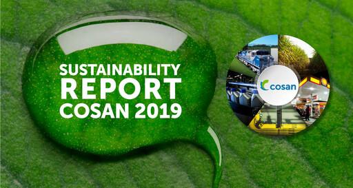 Thumbnail Cosan Sustainability Report 2019