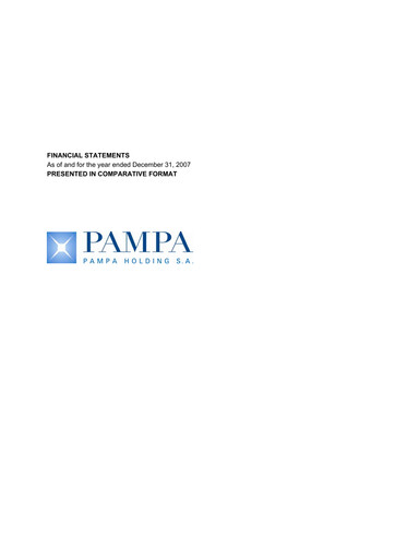 Thumbnail Pampa Energía
 Financial Statement 2007