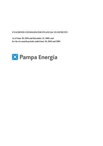 Thumbnail Pampa Energía
 Financial Statement 2010-h1