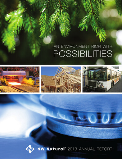 Thumbnail NW Natural Holdings Annual Report 2013