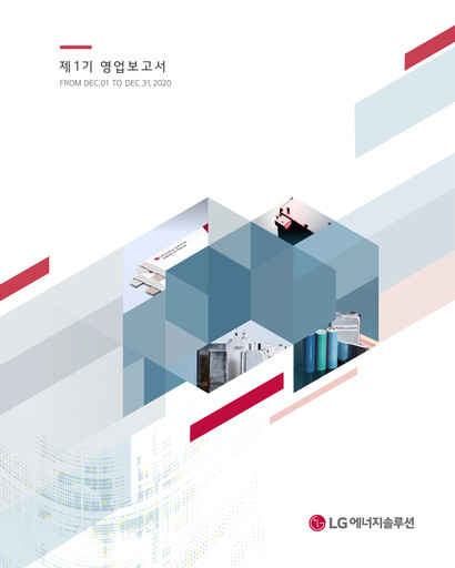 Thumbnail LG Energy Solution Financial Report 2020