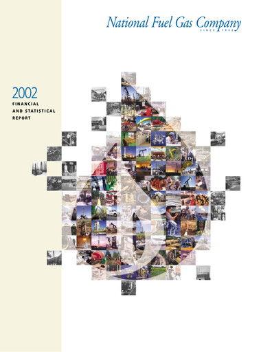 Thumbnail National Fuel Gas
 Financial Report 2002